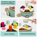 TOPBRIGHT-1210972022-KLOPFSPIEL SCHILDKRÖTE