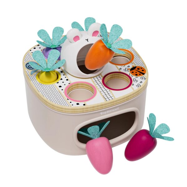 TOPBRIGHT-1211032022-SORTIERSPIEL KAROTTEN