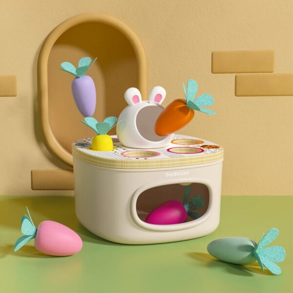 TOPBRIGHT-1211032022-SORTIERSPIEL KAROTTEN