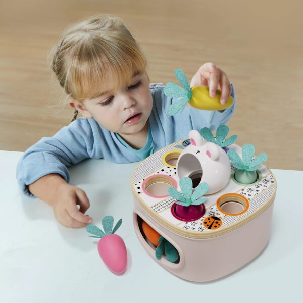 TOPBRIGHT-1211032022-SORTIERSPIEL KAROTTEN