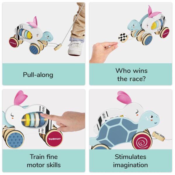 TOPBRIGHT-1211042022-DER HASE UND DIE SCHILDKRÖTE