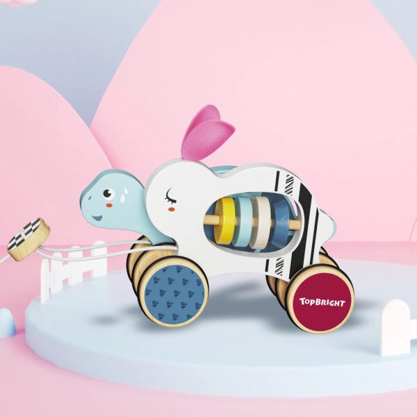 TOPBRIGHT-1211042022-DER HASE UND DIE SCHILDKRÖTE