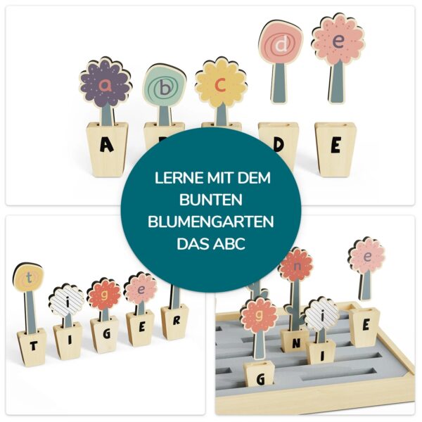 TOPBRIGHT-1211392023-ABC BLUMEN