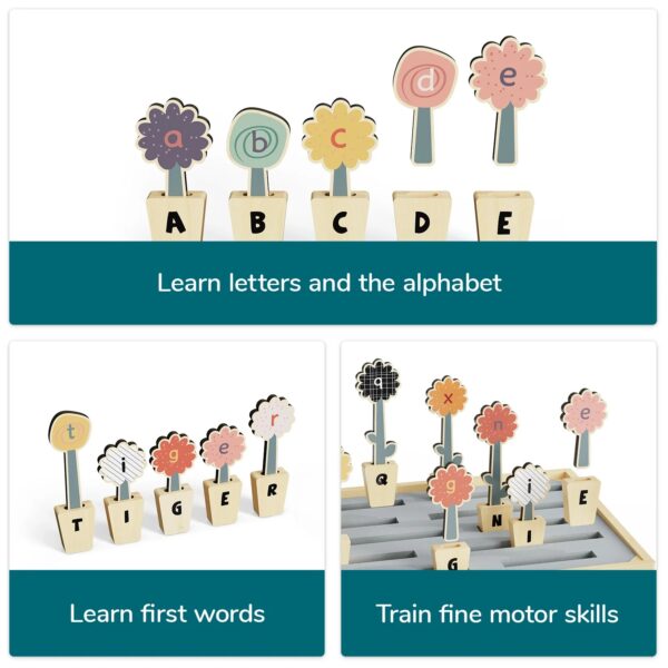 TOPBRIGHT-1211392023-ABC BLUMEN