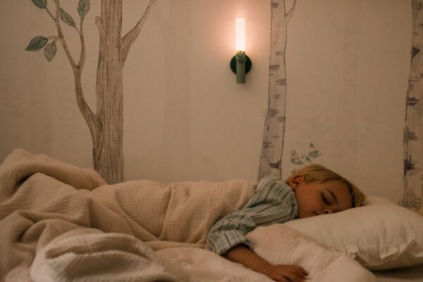 The Zoofamily Zoo Light – Tierische Nacht- & Leselampe für Kinder (Dino • Einhorn • Fuchs) – Bild 5